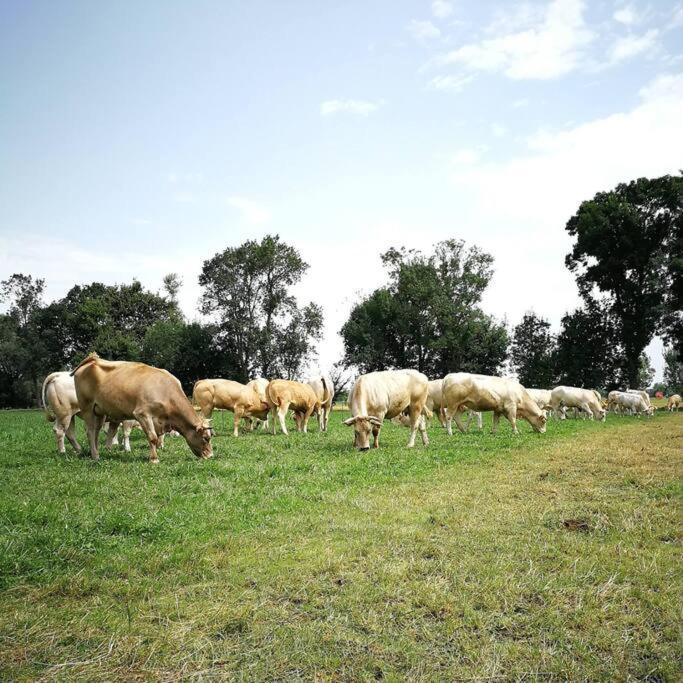 Gite A La Ferme De La Bouriette Revel  Luaran gambar