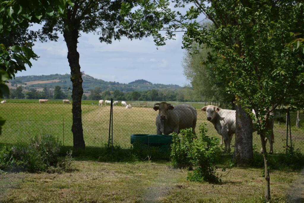 Gite A La Ferme De La Bouriette Revel  Luaran gambar